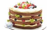 Pastry Cream Supreme Mix